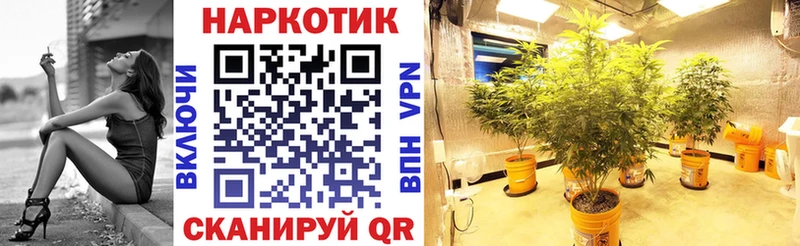 Где купить наркоту Феодосия ТГК  Меф мяу мяу  Гашиш  Бошки Шишки  MDMA  Кокаин  Alpha PVP 