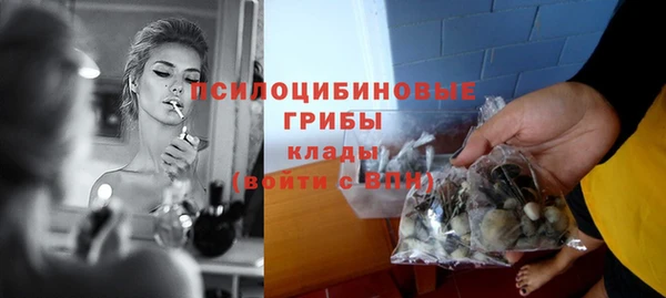 МДПВ Ладушкин
