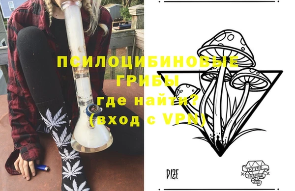 шишки Новосибирск