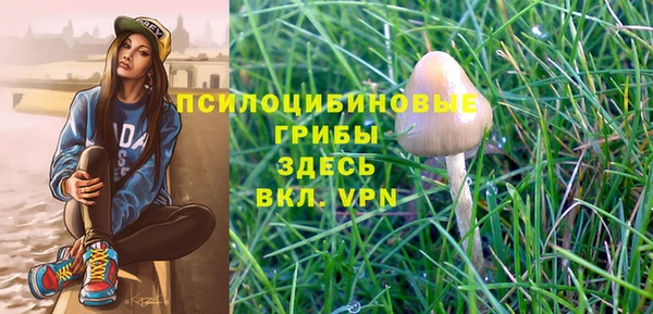 МДПВ Ладушкин