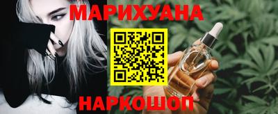 стафф Кингисепп