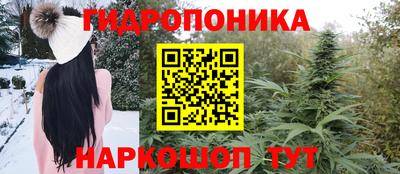 spice Гатчина