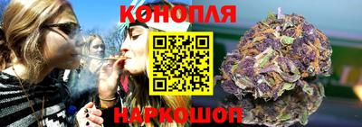 стафф Кингисепп