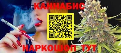 стафф Кингисепп