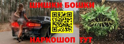 стафф Кингисепп