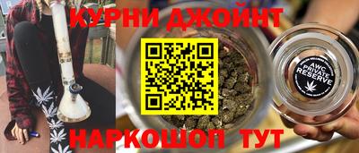 стафф Кингисепп