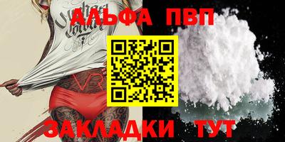 стафф Кингисепп