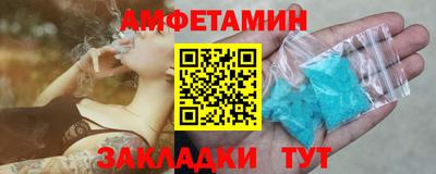стафф Кингисепп