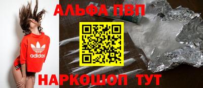 стафф Кингисепп