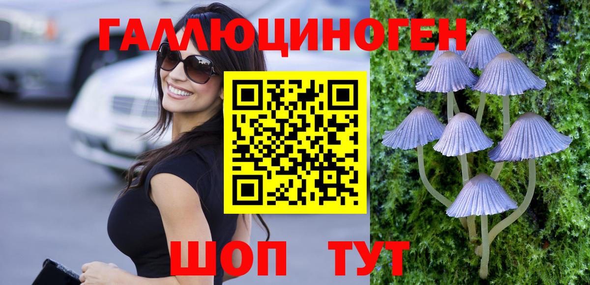 Галлюциногенные грибы мицелий  Псилоцибиновые грибы MAGIC MUSHROOMS  Вход с VPN  Феодосия 